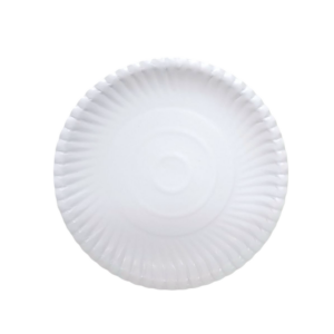 Paper Plates 50's