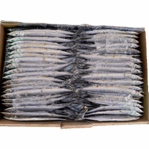 Pike 10 Kg